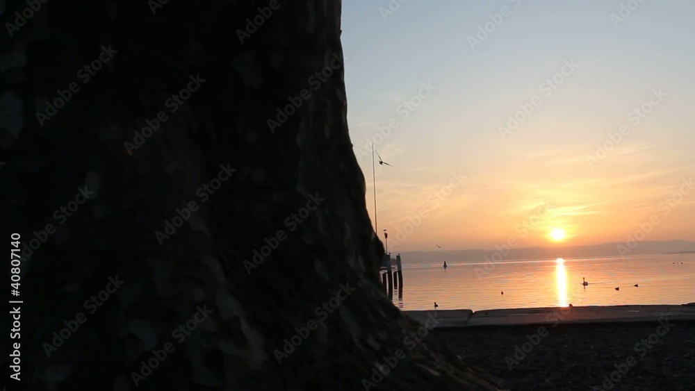 sunset dolly