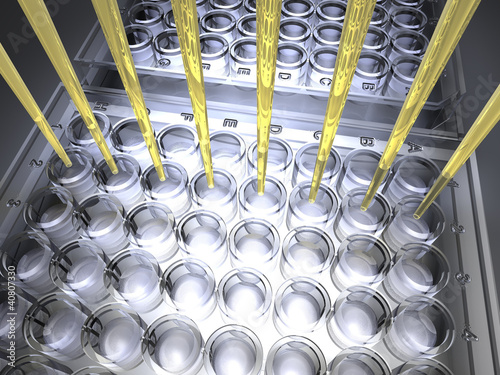 High Throughput photo