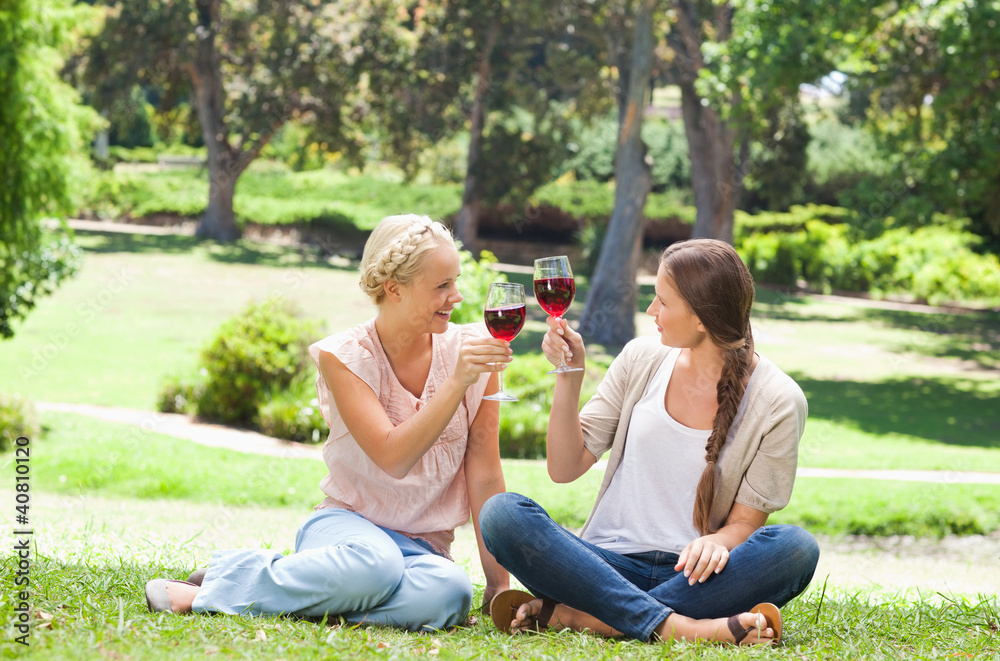 Friends having a glass of red wine in the park