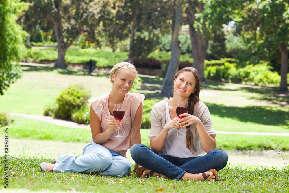 Friends with wine glasses in the park Friends with wine glasses in the park
