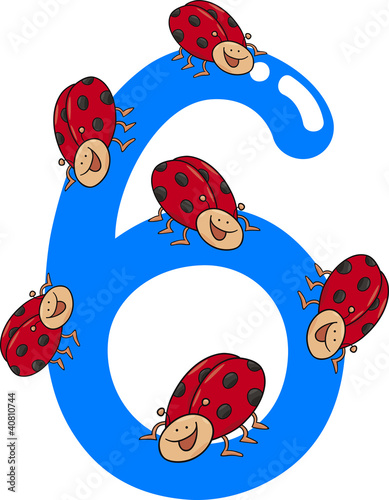number six and 6 ladybug