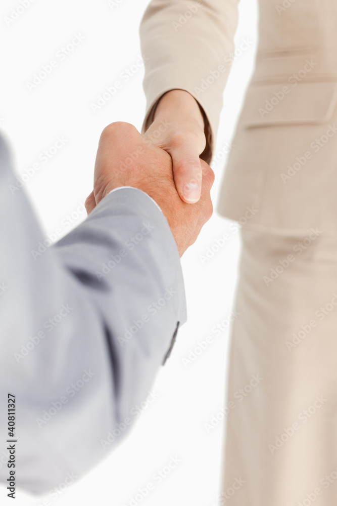 Fototapeta premium People having an accord