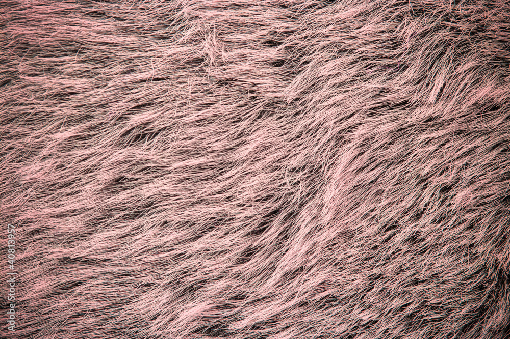 Pink fur