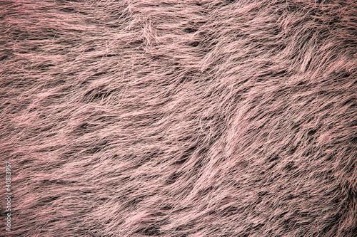 Obraz na płótnie Pink fur w salonie