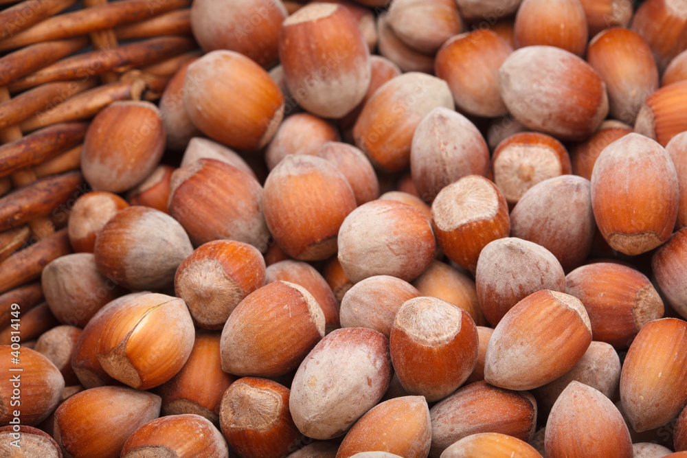 Hazelnut Hazelnut