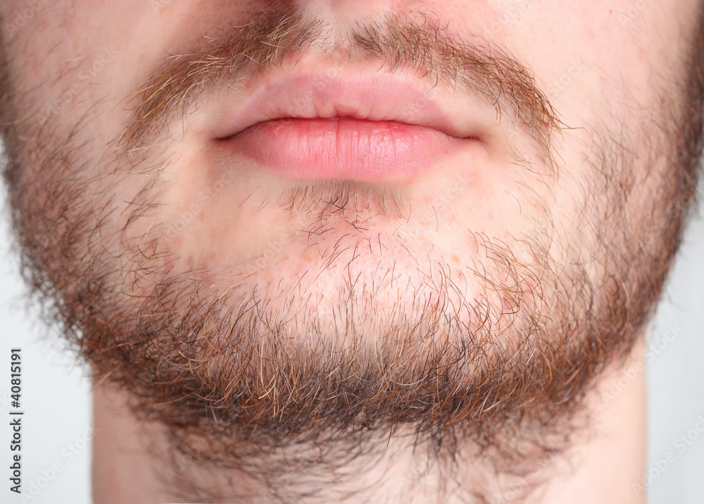 Fototapeta premium Beard