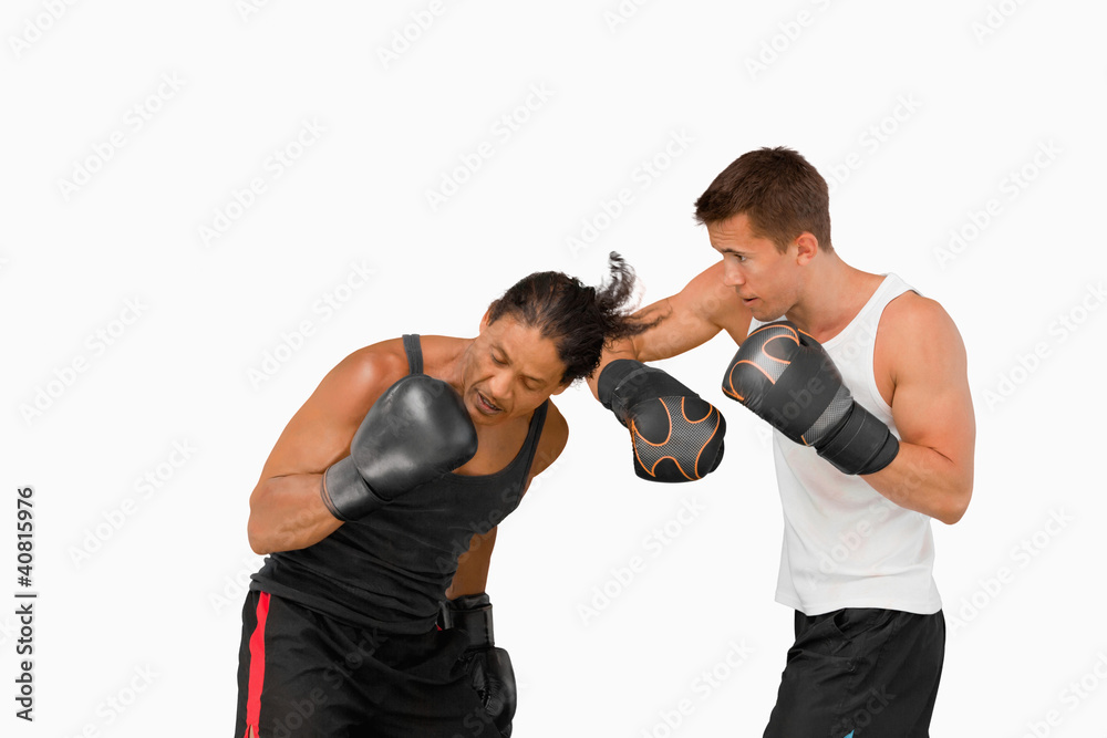 Side view of two fighting boxers Side view of two fighting boxers