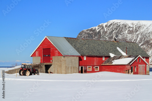 Lofoten's farm