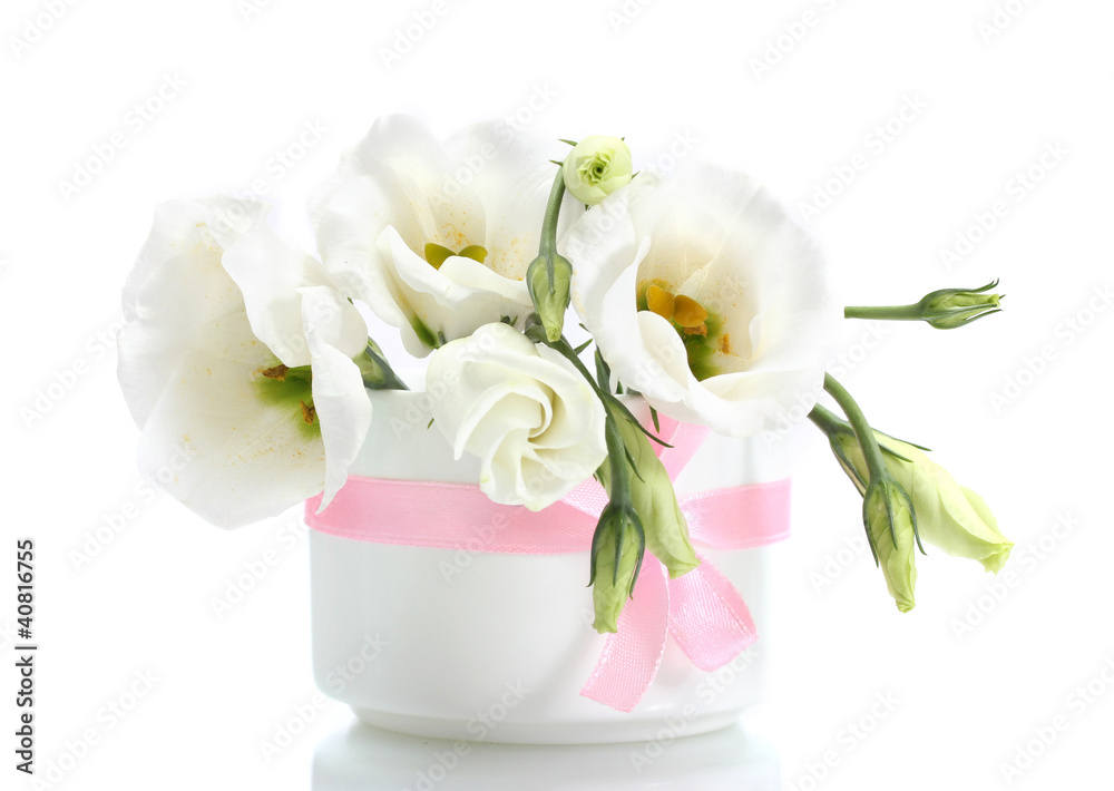 beautiful spring flowers in vase isolated on white beautiful spring flowers in vase isolated on white