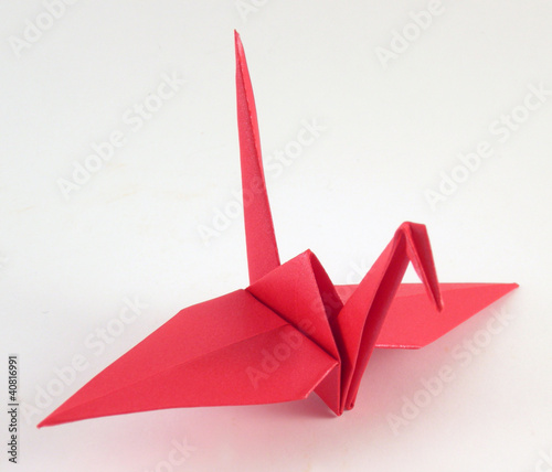 grulla 3