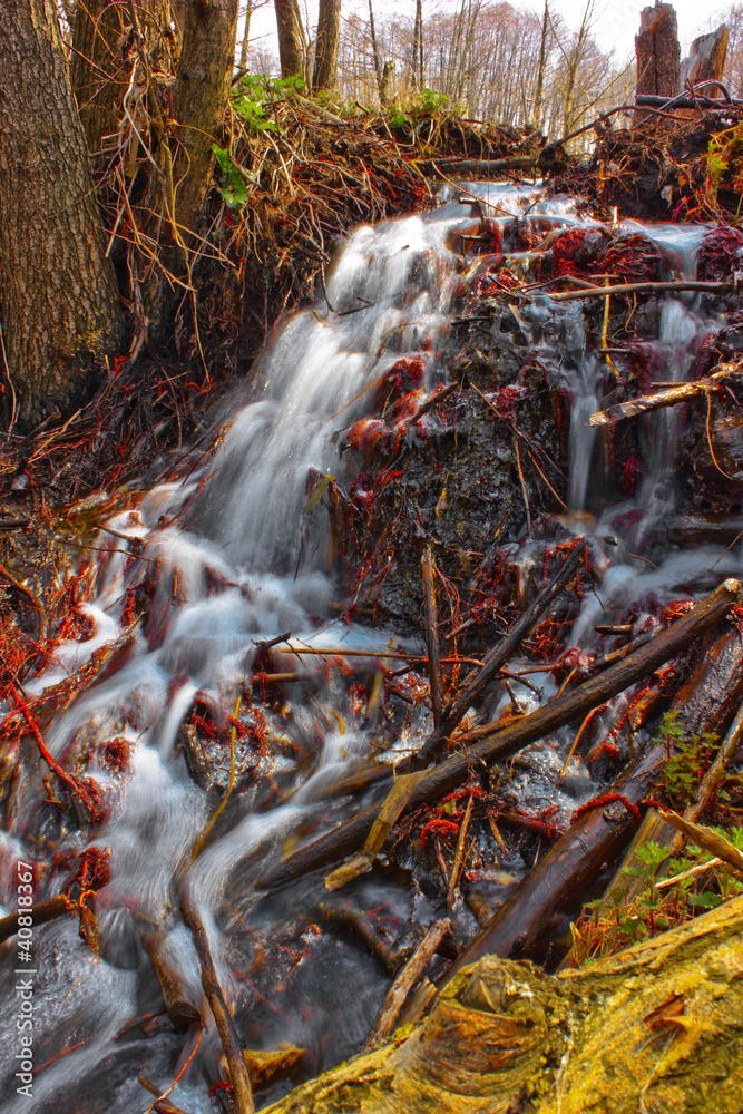 Russian forest small river stream creek and spring tree trunks Russian forest small river stream creek and spring tree trunks
