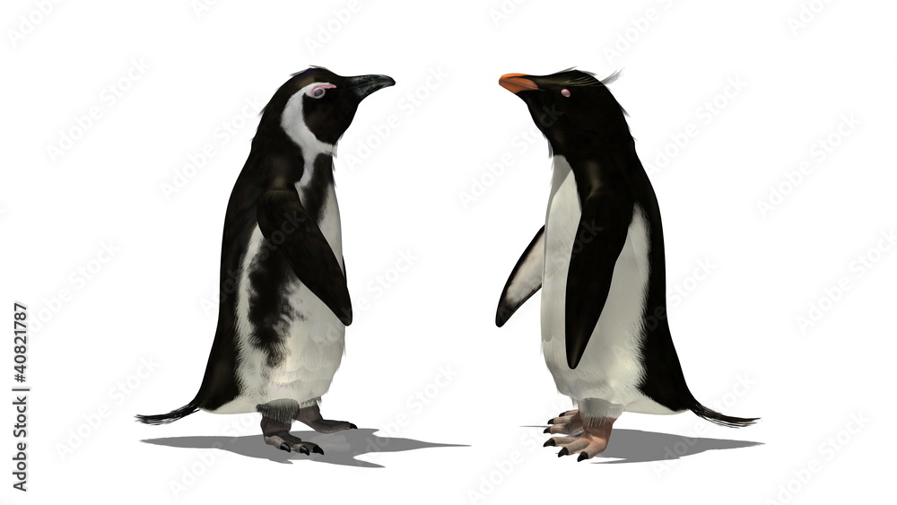 Obraz premium ペンギン