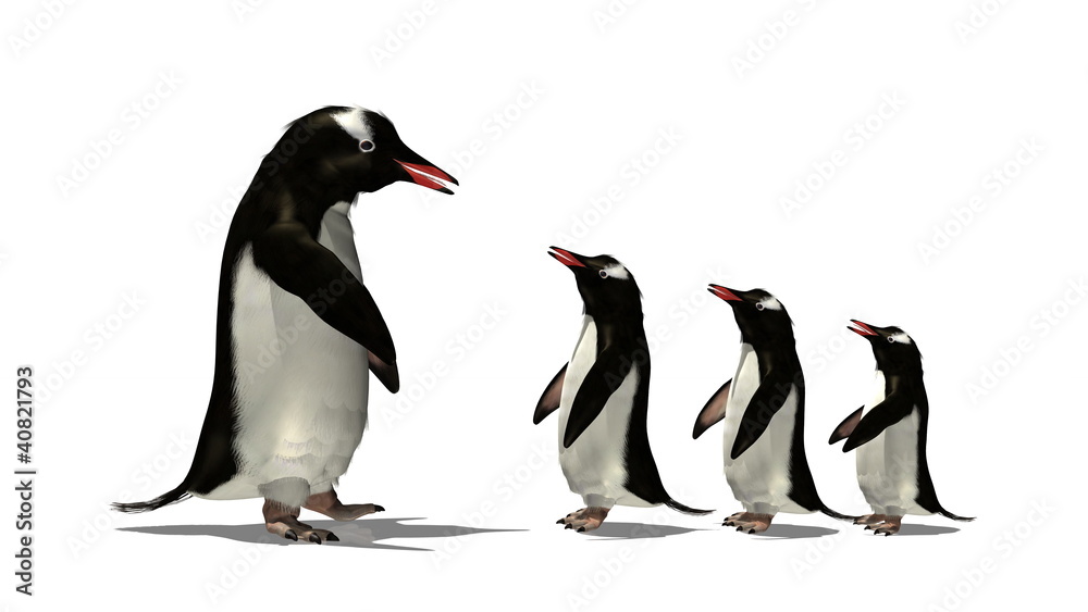 Obraz premium ペンギン