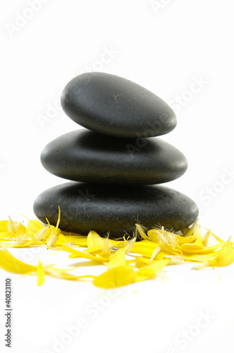 yellow flower plants with stack stones