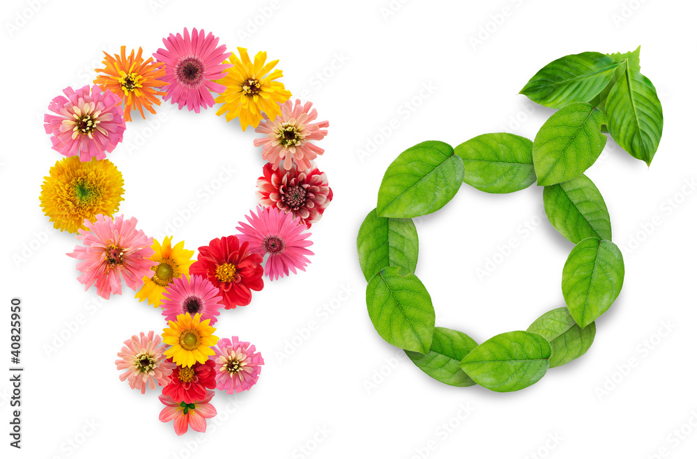 Gender simbols from plants Stock Photo Adobe Stock