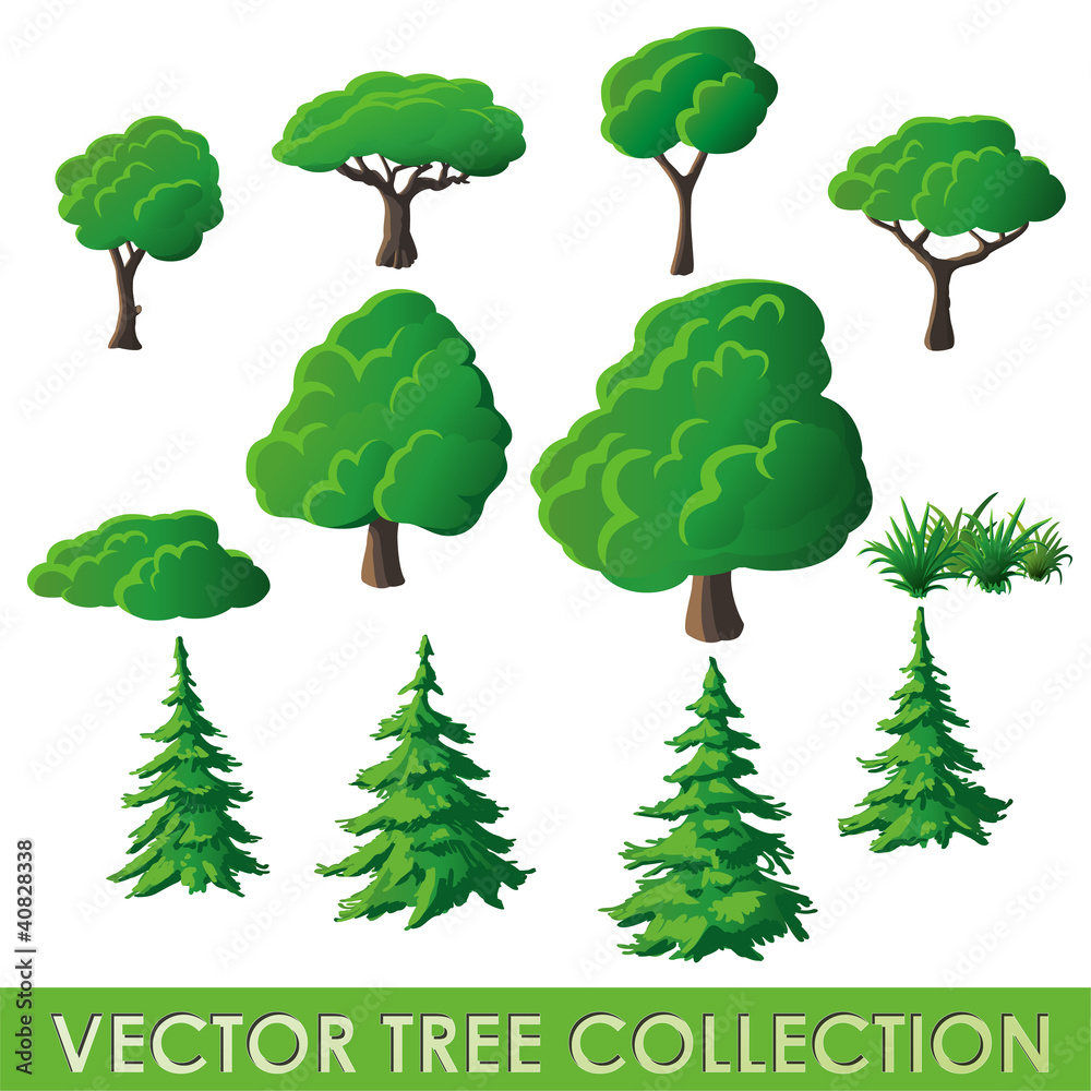 Fototapeta premium Vector Tree Collection