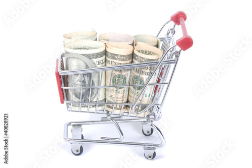 Dollars in the shopping cart photo