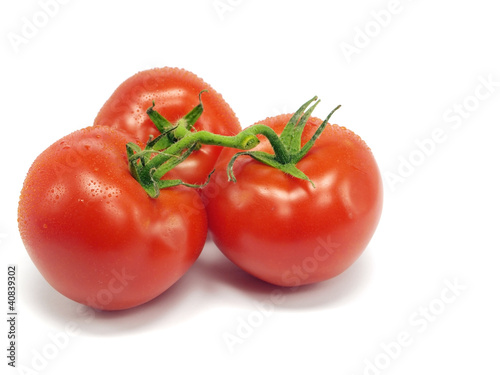 fresh tomatoes © de_marco