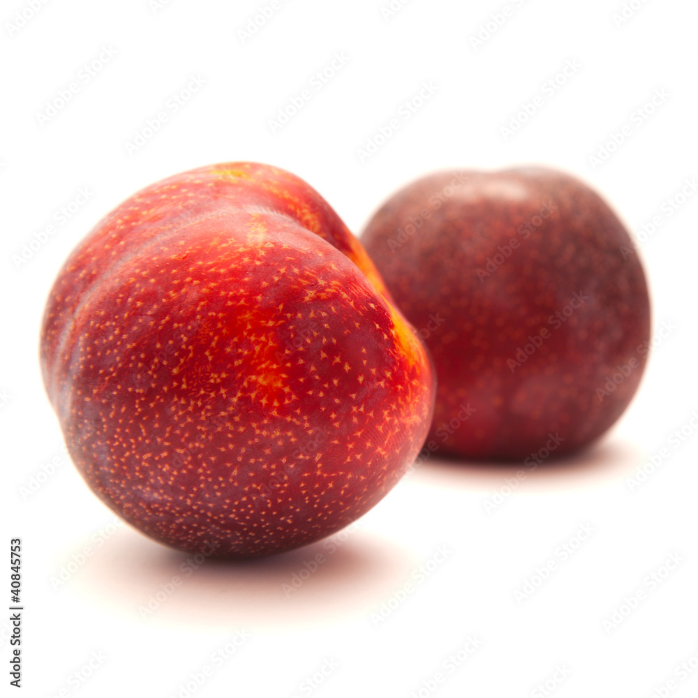 large red plum isolated on white background large red plum isolated on white background