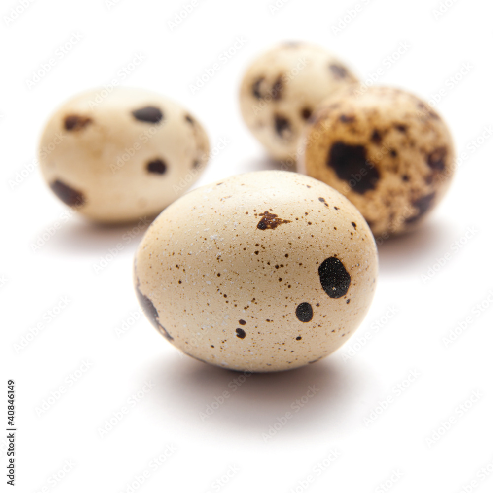 quail eggs on white surface quail eggs on white surface