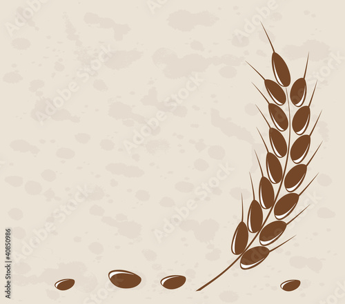 Ear of wheat in the grange background