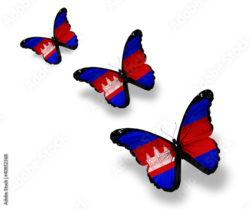Three Cambodia flag butterflies, isolated on white