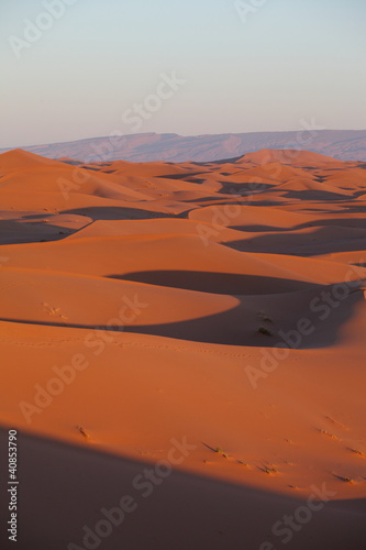View across sand dunes in the Sahara desert, Morocco, Africa