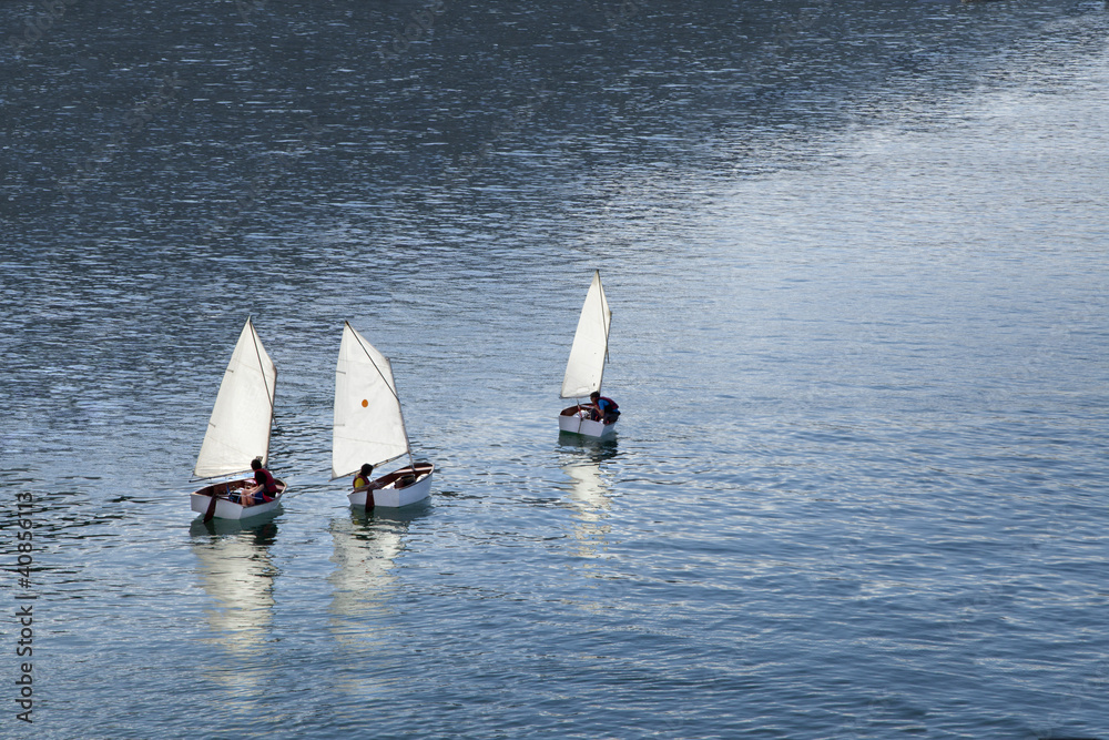 Obraz premium Voiliers Ecoles