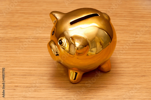 the golden piggy bank photo