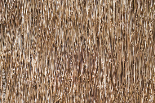Background is made from dried grass.