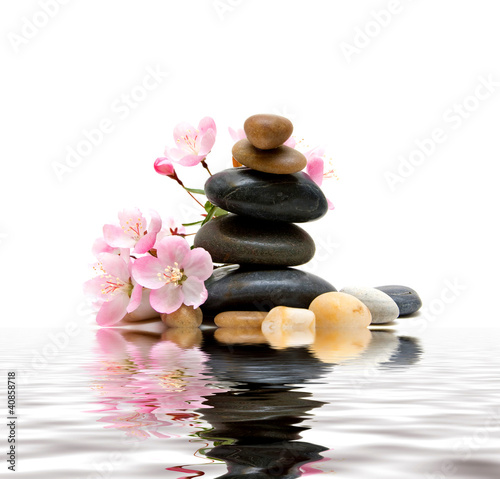 Zen / spa stones with flowers