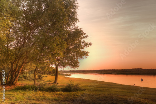 Golden sunset over calm lake with swan photo