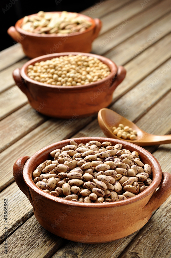 legumes legumes