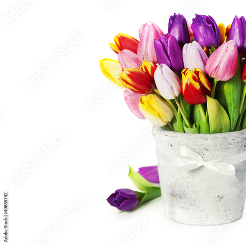 Fototapeta Naklejka Na Ścianę i Meble -  fresh tulips