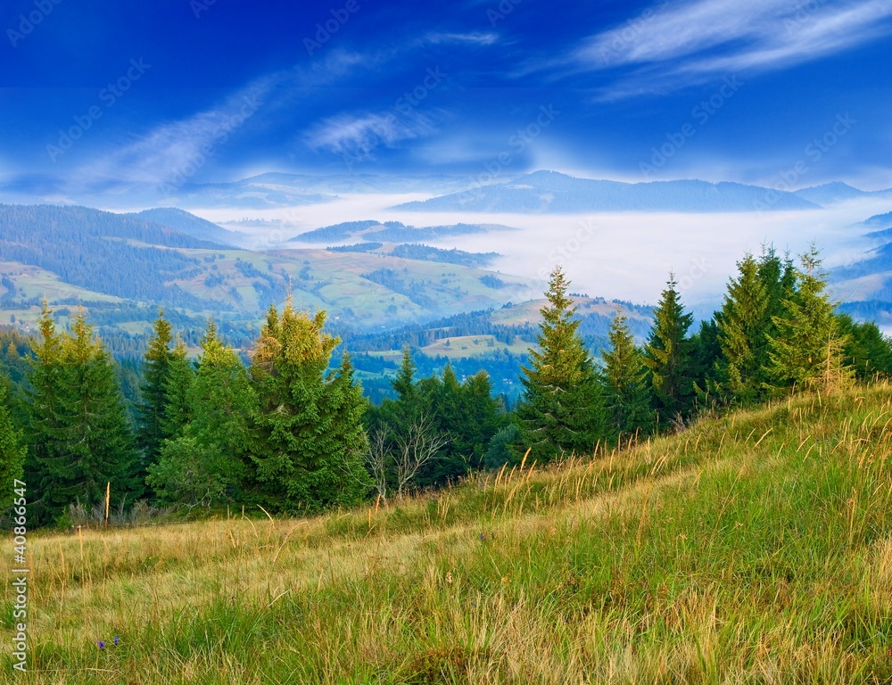 green karpatian  landscape