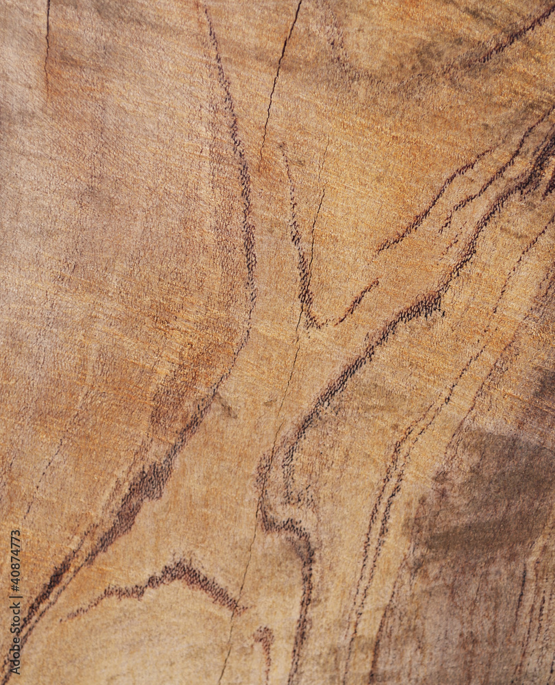 Naklejka premium Texture of tree stump