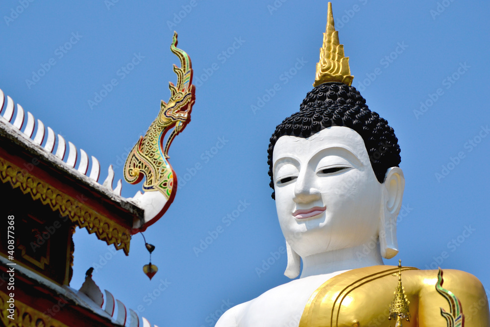 Obraz premium The Buddha Image Of Northern Thailand