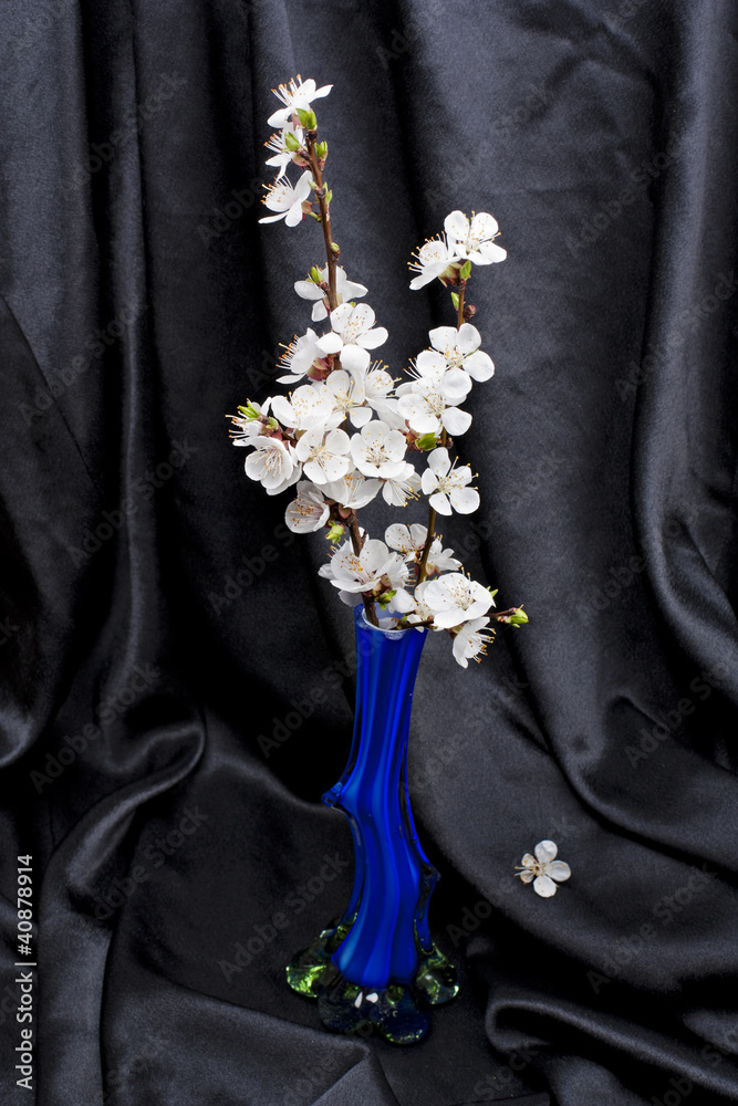 Apricot flowers in a vase against a black drapery, still in retr Apricot flowers in a vase against a black drapery, still in retr