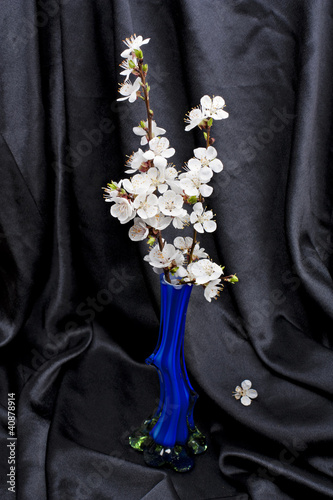 Apricot flowers in a vase against a black drapery, still in retr