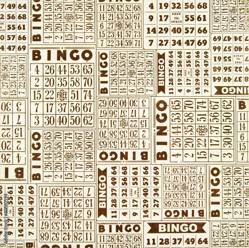 Bingo Wallpaper