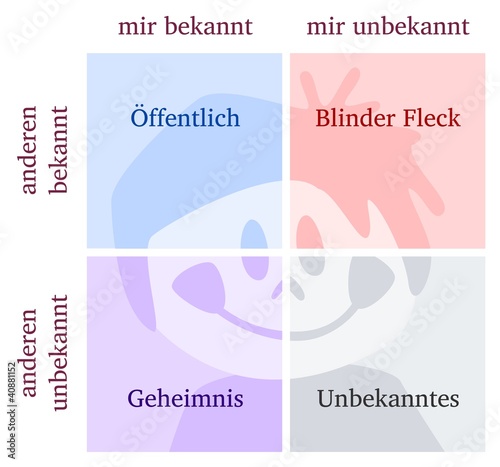 Johari-Fenster