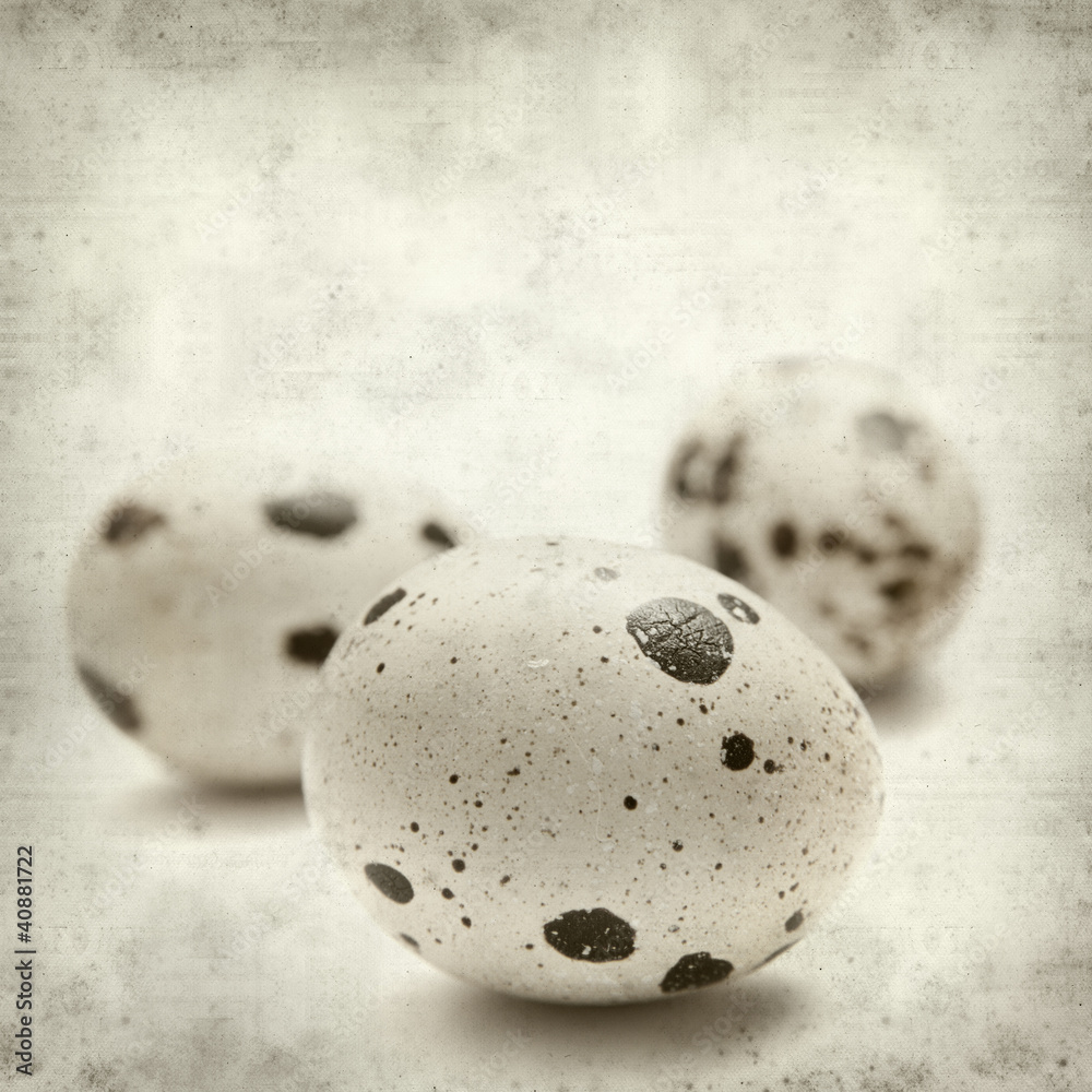 Obraz premium textured old paper background