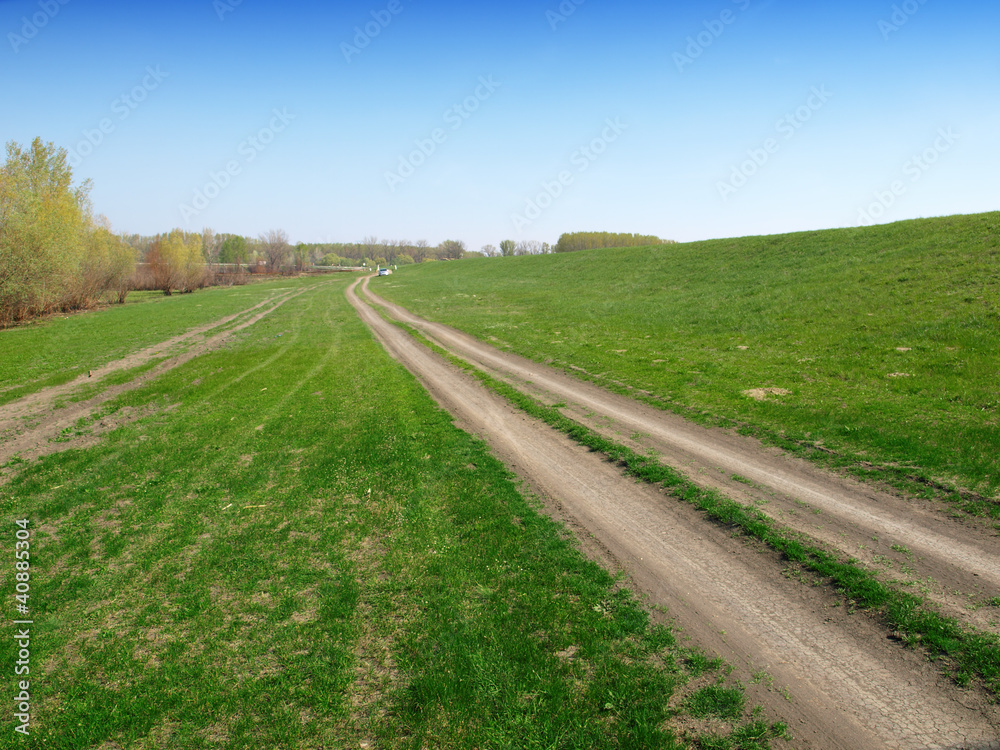 Meadow with dirt road and blue sky. Summer landscape