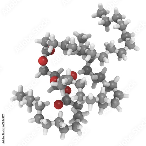 triglyceride (animal fat) photo