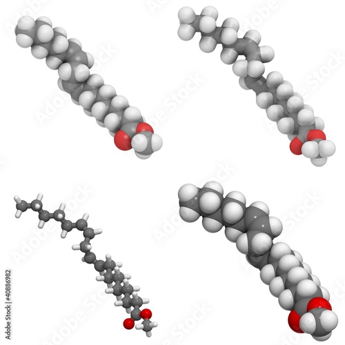 methyl lineolate (biodiesel) molecule photo