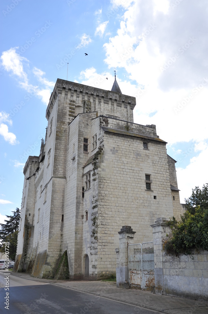 Chateau Montsoreau 5