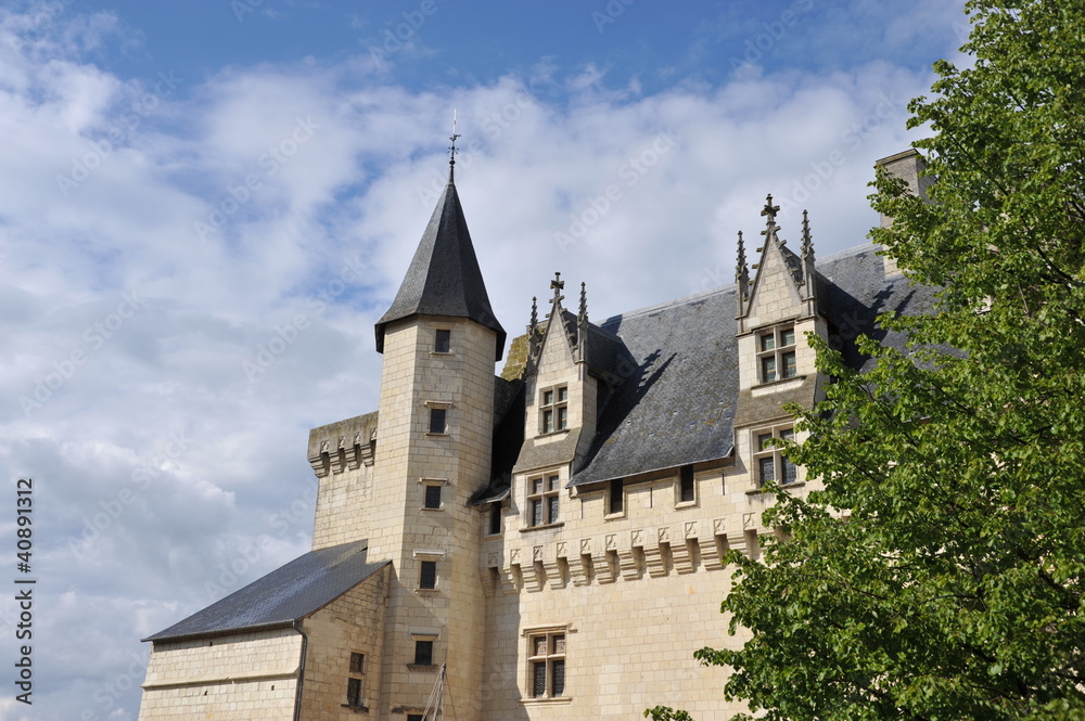 Tourelle et toiture chateau de Montsoreau