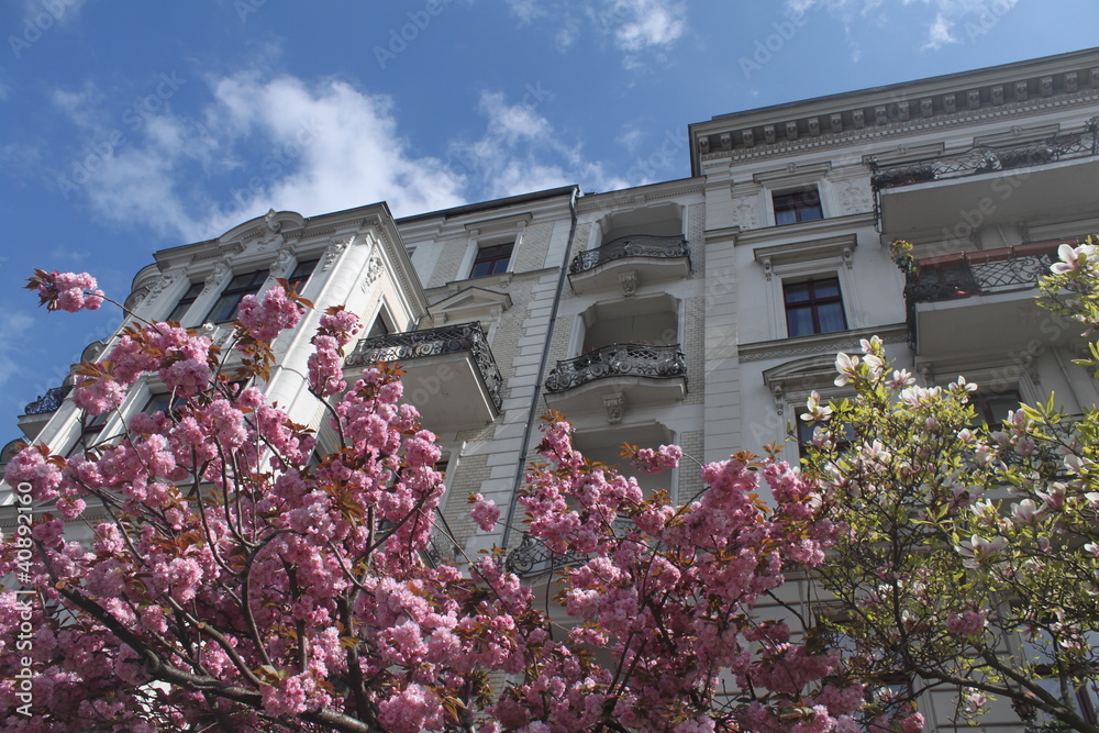 Fototapeta premium Frühling in Berlin