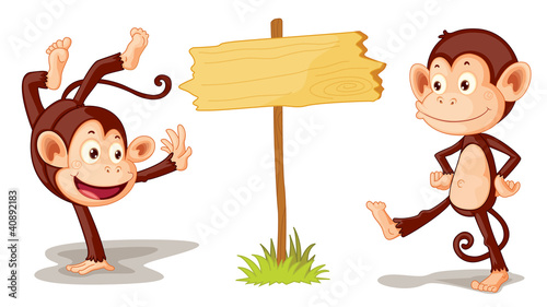 Monkeys with banner