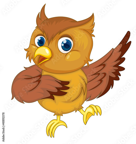 Isolated comical owl